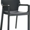 Krzesło Dionisio Black Arm chair